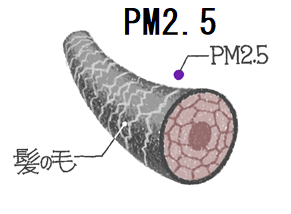 PM2.5は超微小粒子